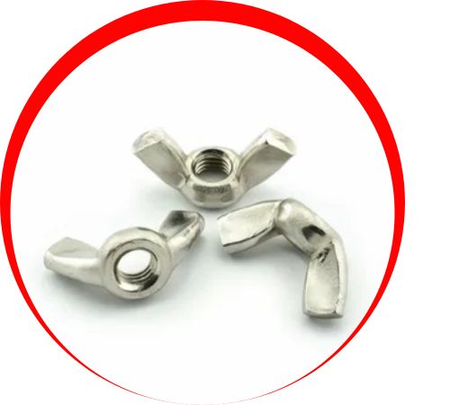 Hastelloy C22 Wing Nuts